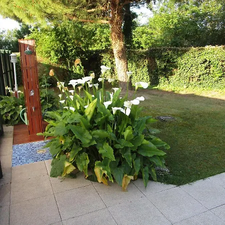 Locatlantique Bed & Breakfast Aytre